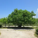Sidari Studios